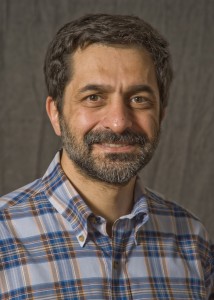 Professor Peter Brusilovsky